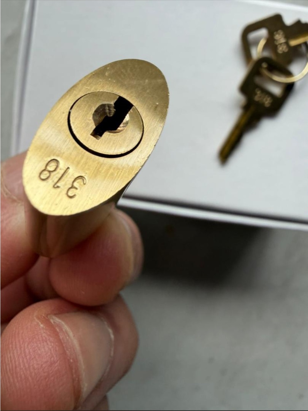 Brass Cylinder Lock Core with Keys - 318 Marking
